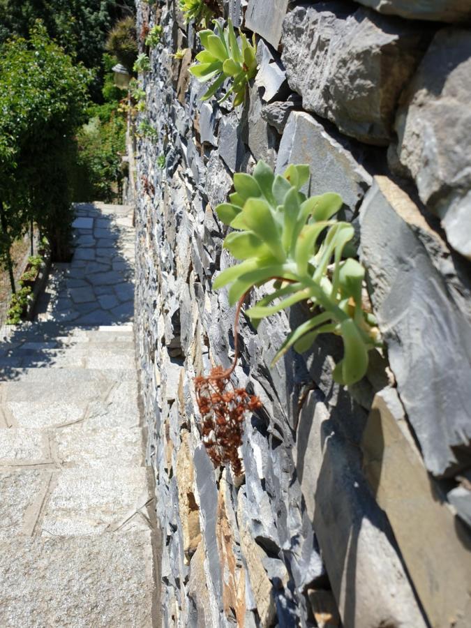 B&B Collina E Mare Камольи Экстерьер фото
